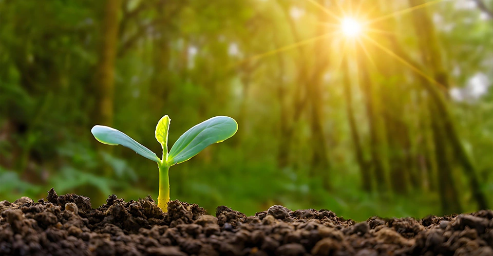 Our Bio-degradation Sunscreen Fabric Our Bio-degradation Sunscreen Fabric